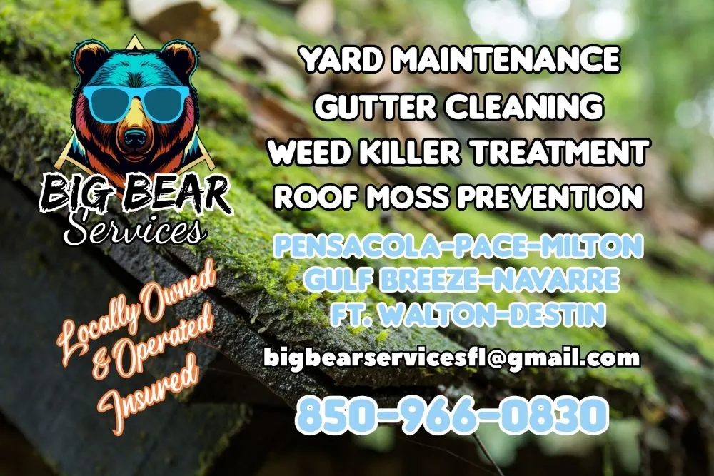 Top-rated residential landscaping for year-round maintenance across Pensacola, FL - Big Bear Services