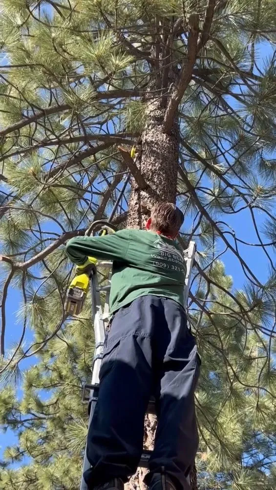 Local garden landscaping for outdoor upgrades across Big Bear Lake, CA - Big Bear Weed Abatements