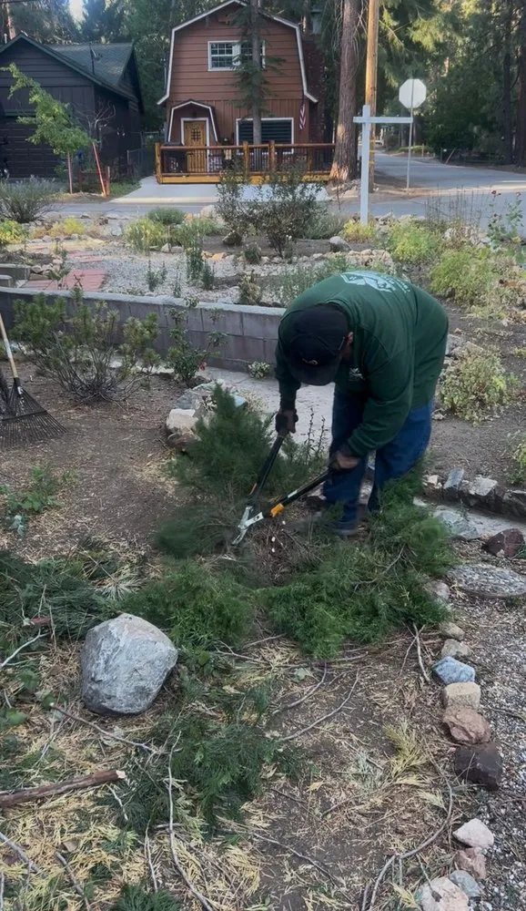 Professional landscape installation for beautiful yards in Big Bear Lake, CA by Big Bear Weed Abatements