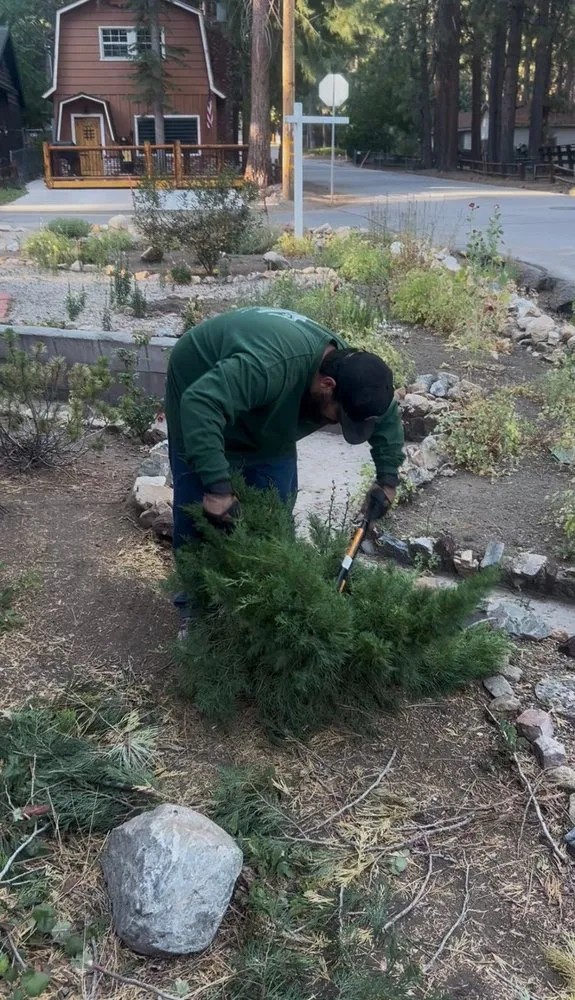 Custom landscaping services experts serving Big Bear Lake, CA - Big Bear Weed Abatements