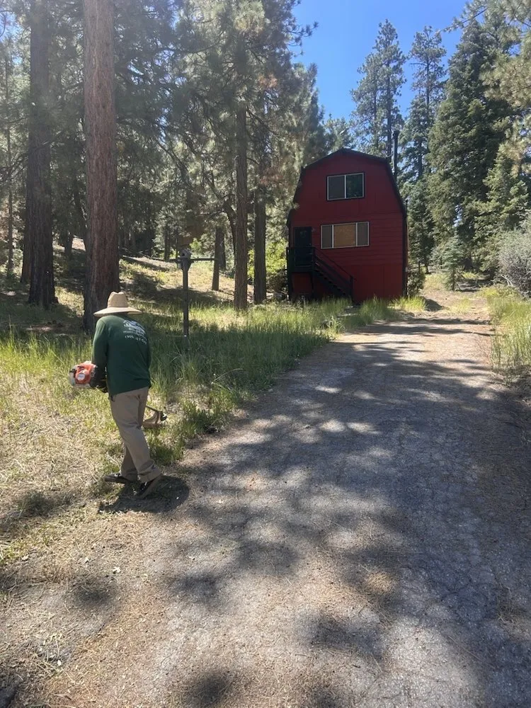 Expert residential landscaping experts serving Big Bear Lake, CA - Big Bear Weed Abatements