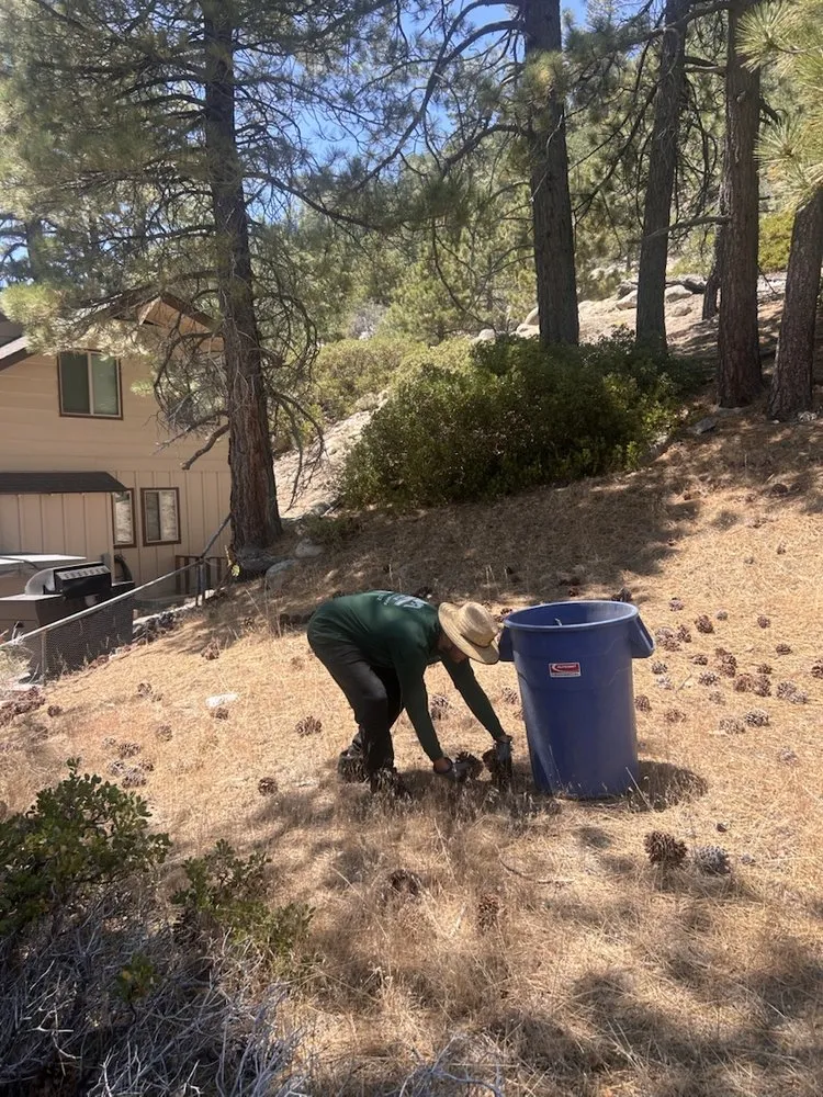 Custom landscaping services in Big Bear Lake, CA - Big Bear Weed Abatements