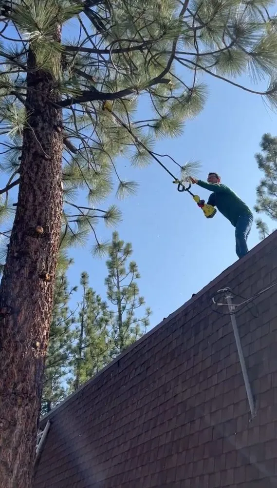 Trusted residential landscaping with custom design in Big Bear Lake, CA by Big Bear Weed Abatements