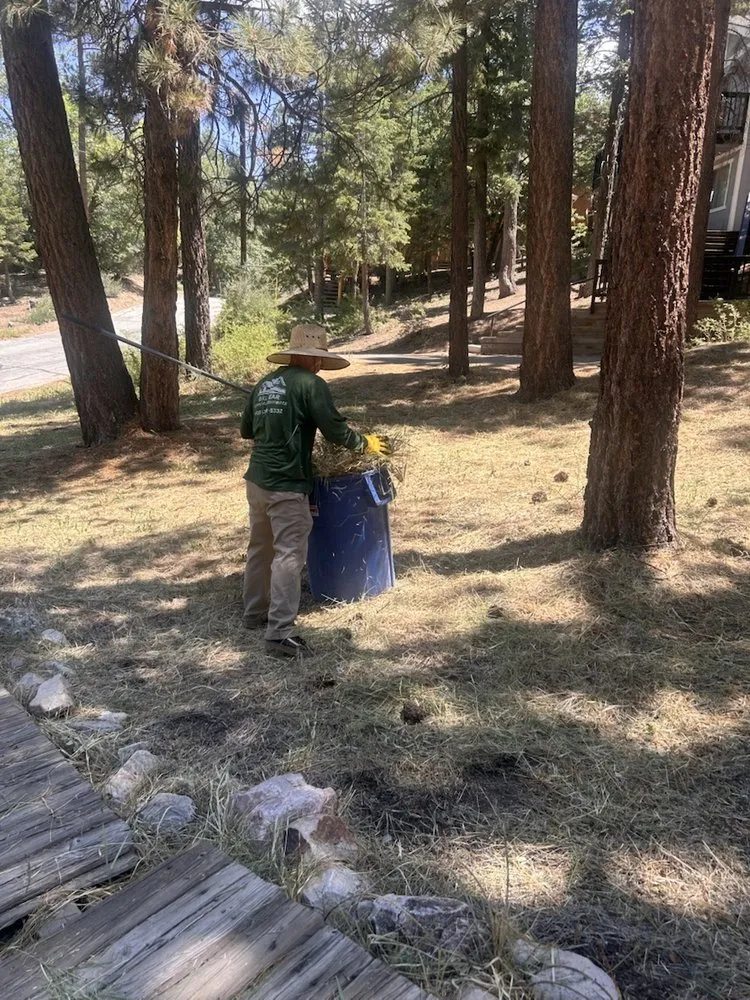 Expert lawn mowing service experts serving Big Bear Lake, CA - Big Bear Weed Abatements