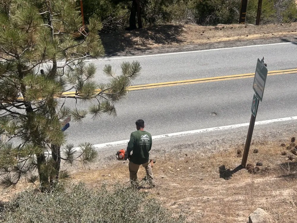 Reliable landscape installation for residential properties across Big Bear Lake, CA - Big Bear Weed Abatements