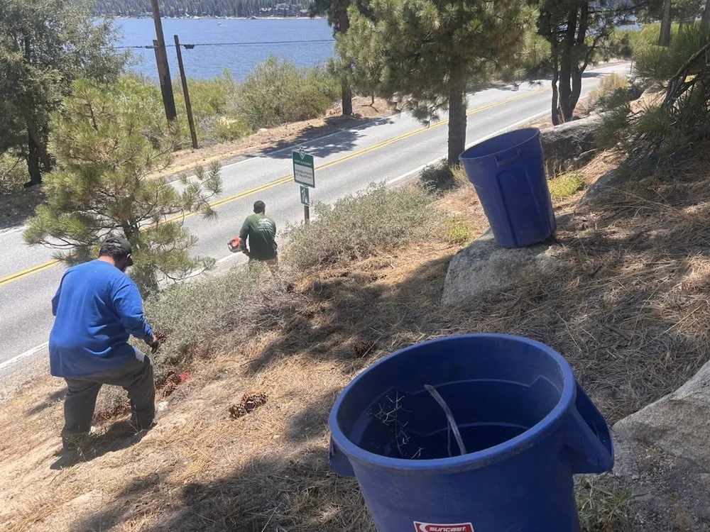 Top-rated yard maintenance in Big Bear Lake, CA by Big Bear Weed Abatements
