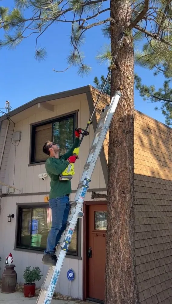 Professional landscape design for year-round maintenance in Big Bear Lake, CA by Big Bear Weed Abatements