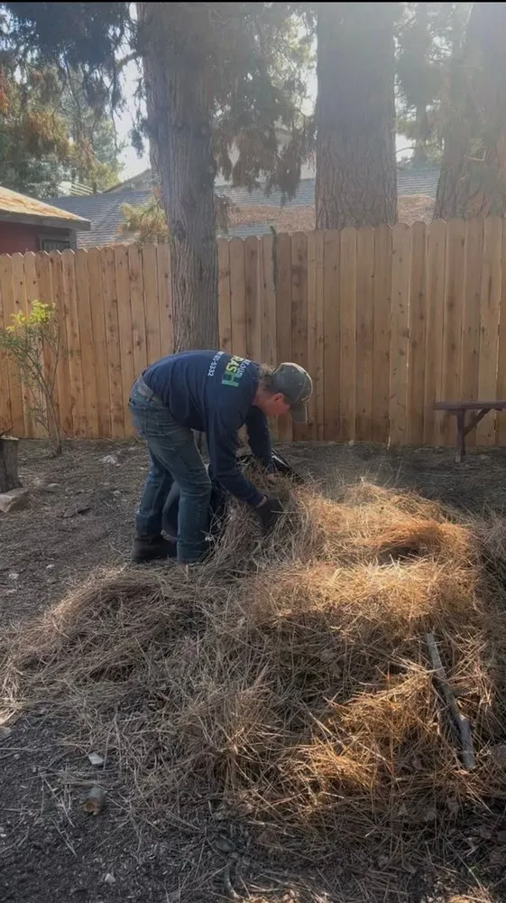 Local outdoor landscaping for beautiful yards across Big Bear Lake, CA - Big Bear Weed Abatements
