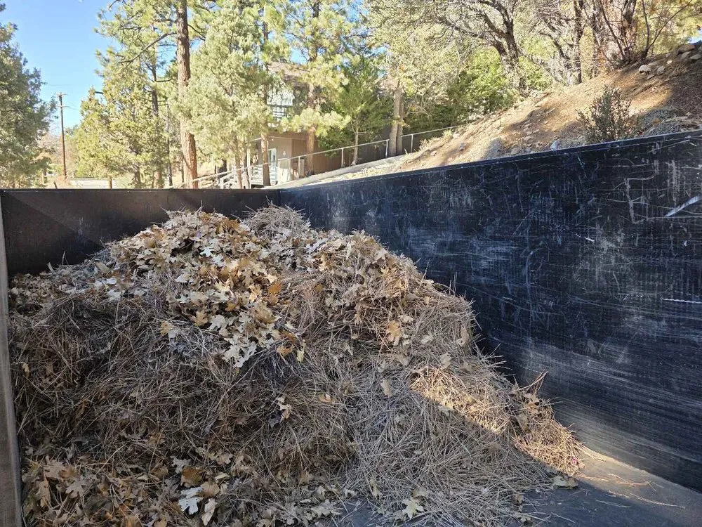 Expert lawn care service with custom design in Big Bear Lake, CA by Big Bear Weed Abatements