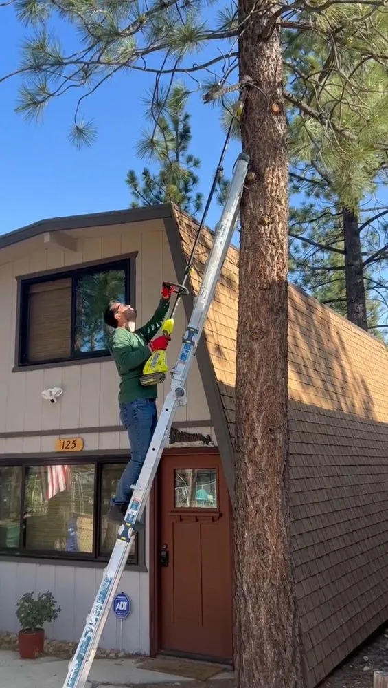 Local residential landscaping for outdoor upgrades across Big Bear Lake, CA - Big Bear Weed Abatements