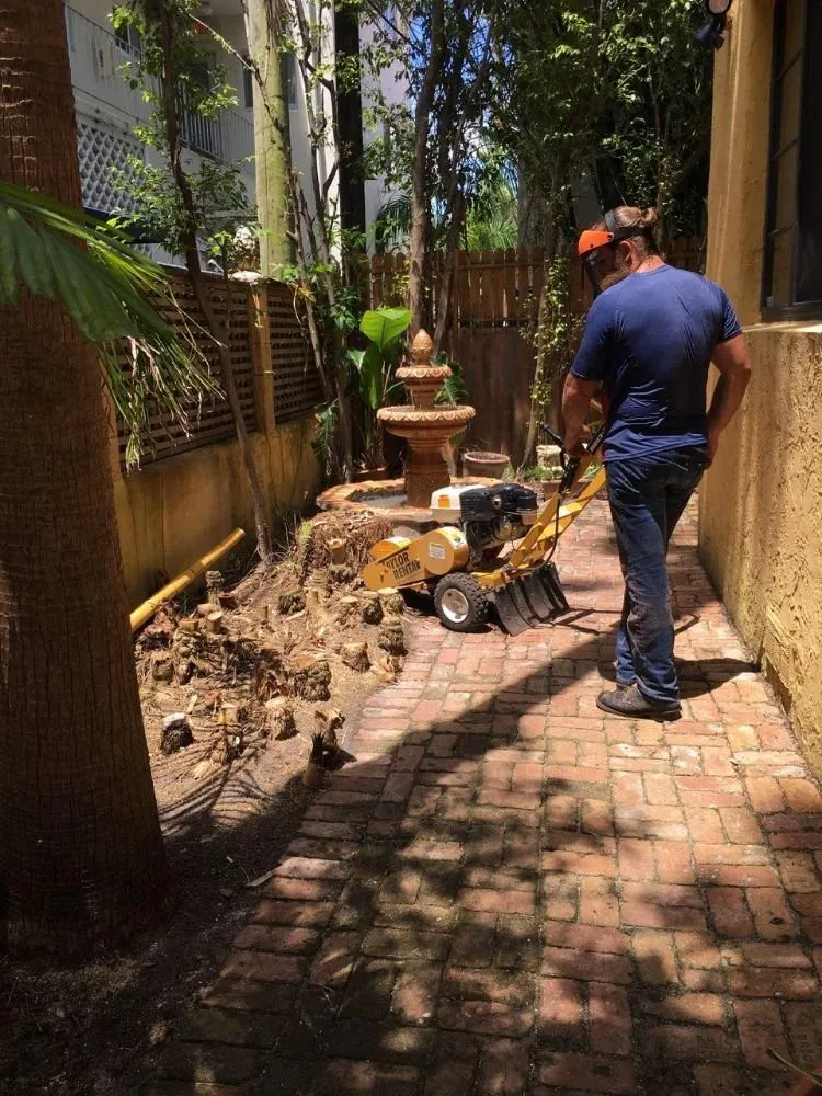 Affordable lawn mowing service near you in Homestead, FL by Big Beards Landscaping and Tree Service