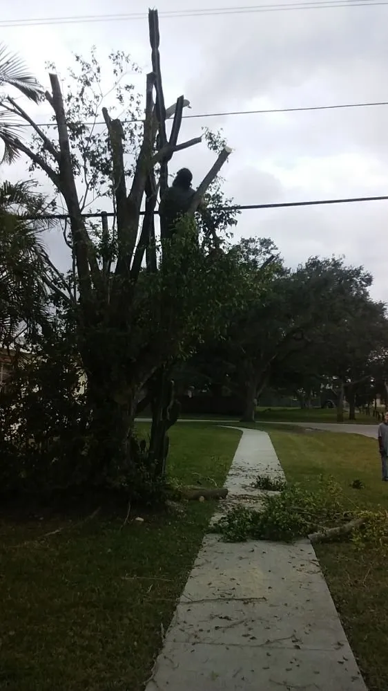 Trusted landscape design in Homestead, FL by Big Beards Landscaping and Tree Service