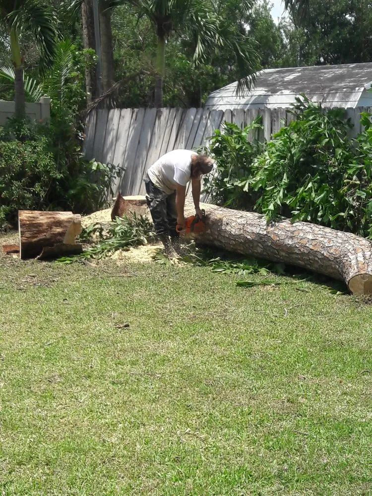Affordable yard cleanup service in Homestead, FL - Big Beards Landscaping and Tree Service