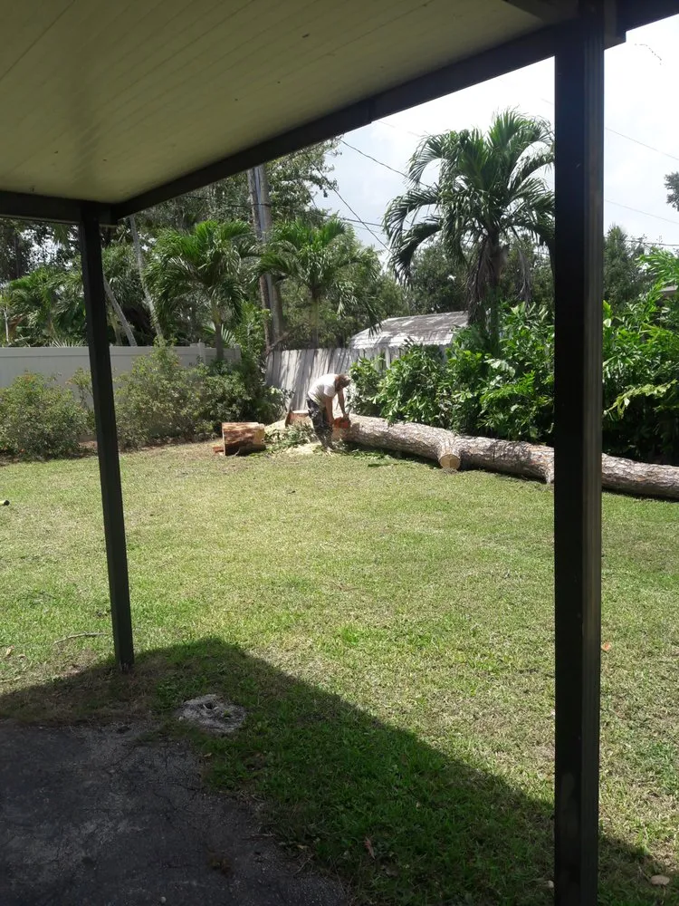 Professional outdoor landscaping for residential properties in Homestead, FL by Big Beards Landscaping and Tree Service