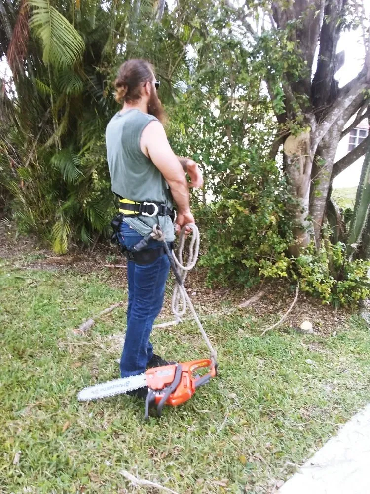 Top-rated landscaping services in Homestead, FL - Big Beards Landscaping and Tree Service