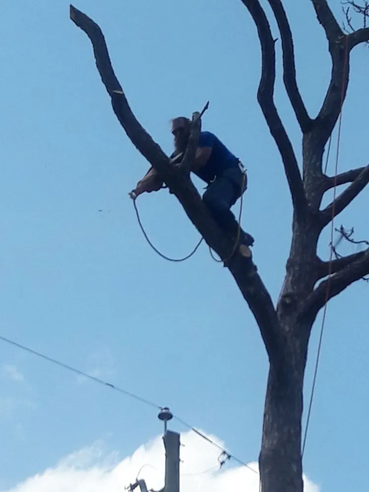 Reliable landscape installation near you across Homestead, FL - Big Beards Landscaping and Tree Service