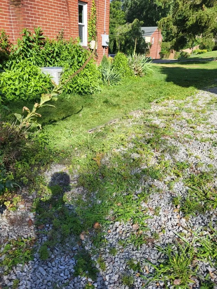 Professional residential landscaping with custom design in Bethel Park, PA by Big Beaver Landscape Service