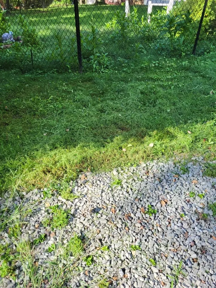 Trusted landscape design in Bethel Park, PA by Big Beaver Landscape Service