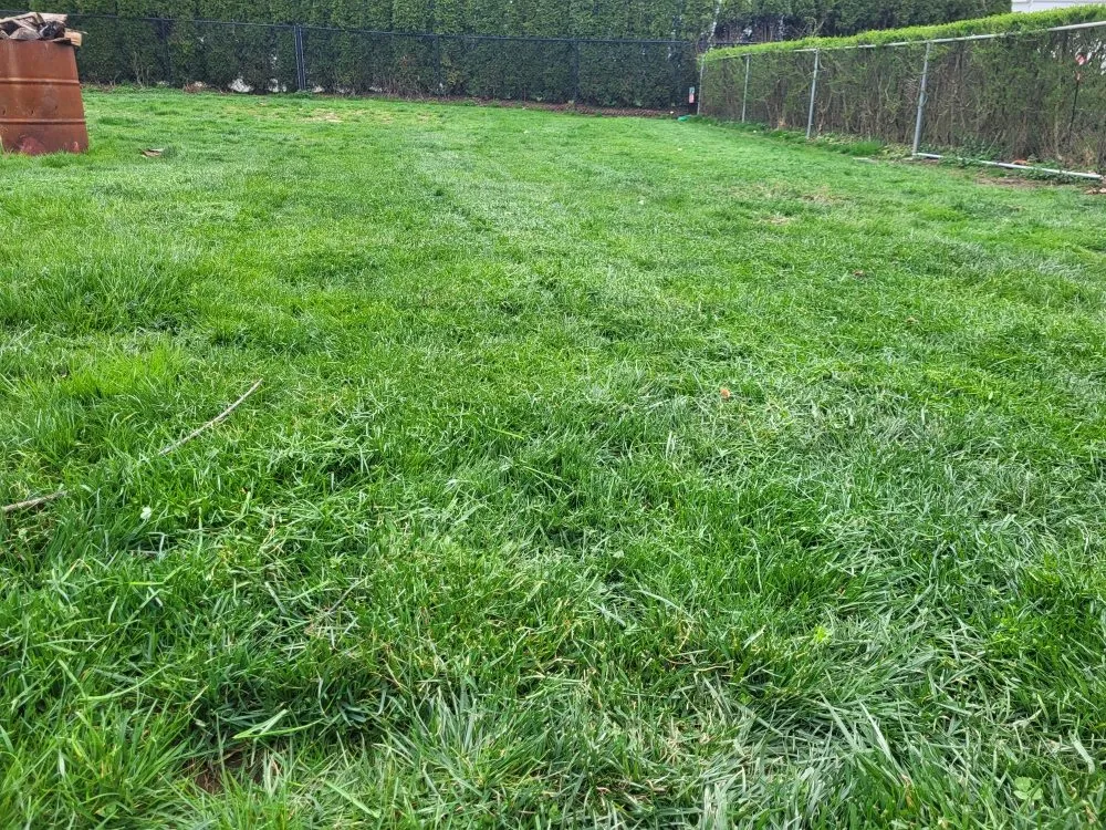 Top-rated residential landscaping in Bethel Park, PA - Big Beaver Landscape Service