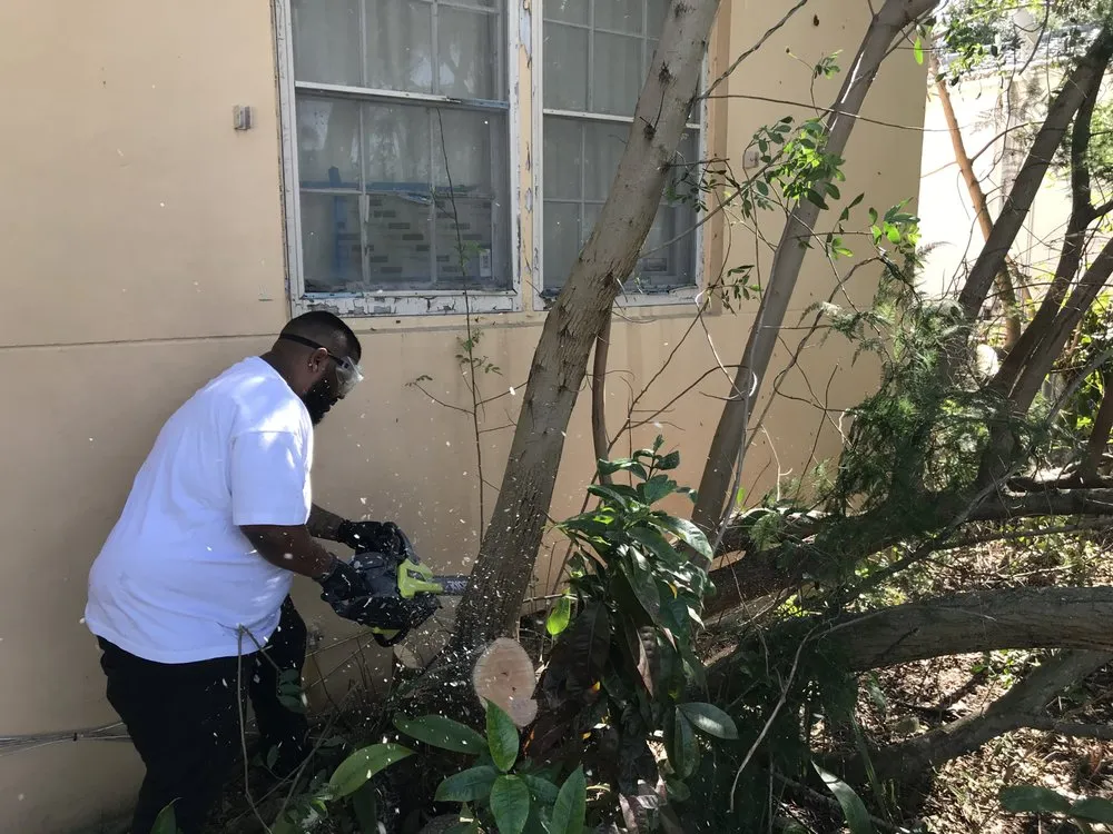 Reliable landscape installation in North Miami Beach, FL - Big Bee Landscaping & Tree Services