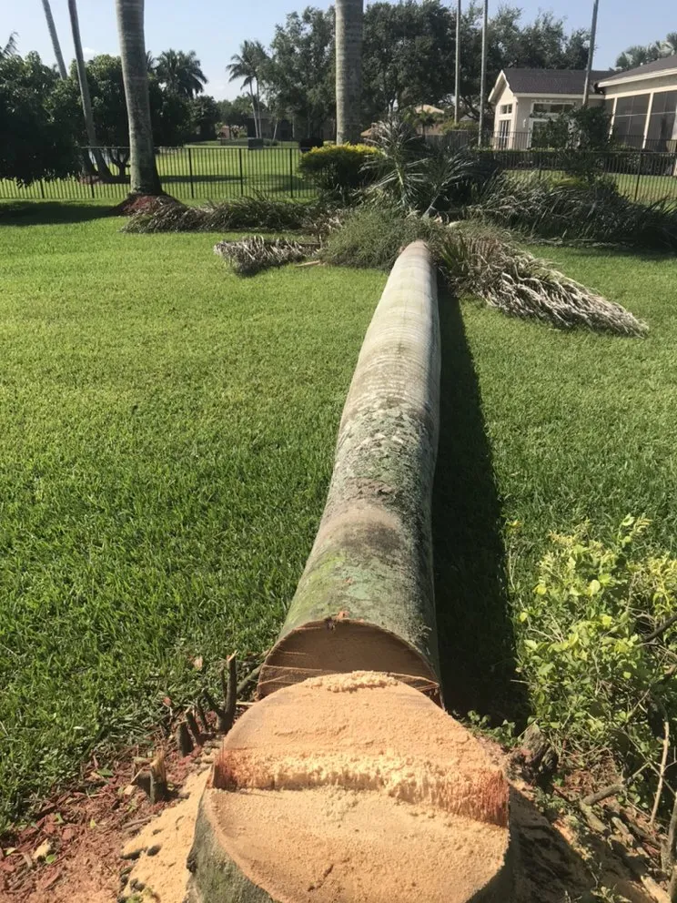 Top-rated landscape design for homes in North Miami Beach, FL by Big Bee Landscaping & Tree Services