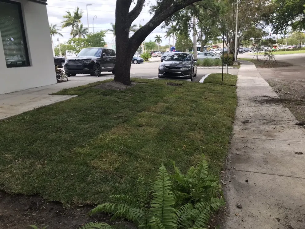 Trusted lawn mowing service for homes across North Miami Beach, FL - Big Bee Landscaping & Tree Services