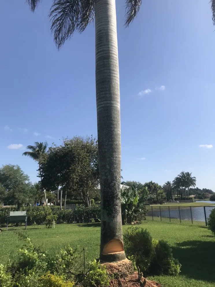 Trusted landscaping services for beautiful yards in North Miami Beach, FL by Big Bee Landscaping & Tree Services