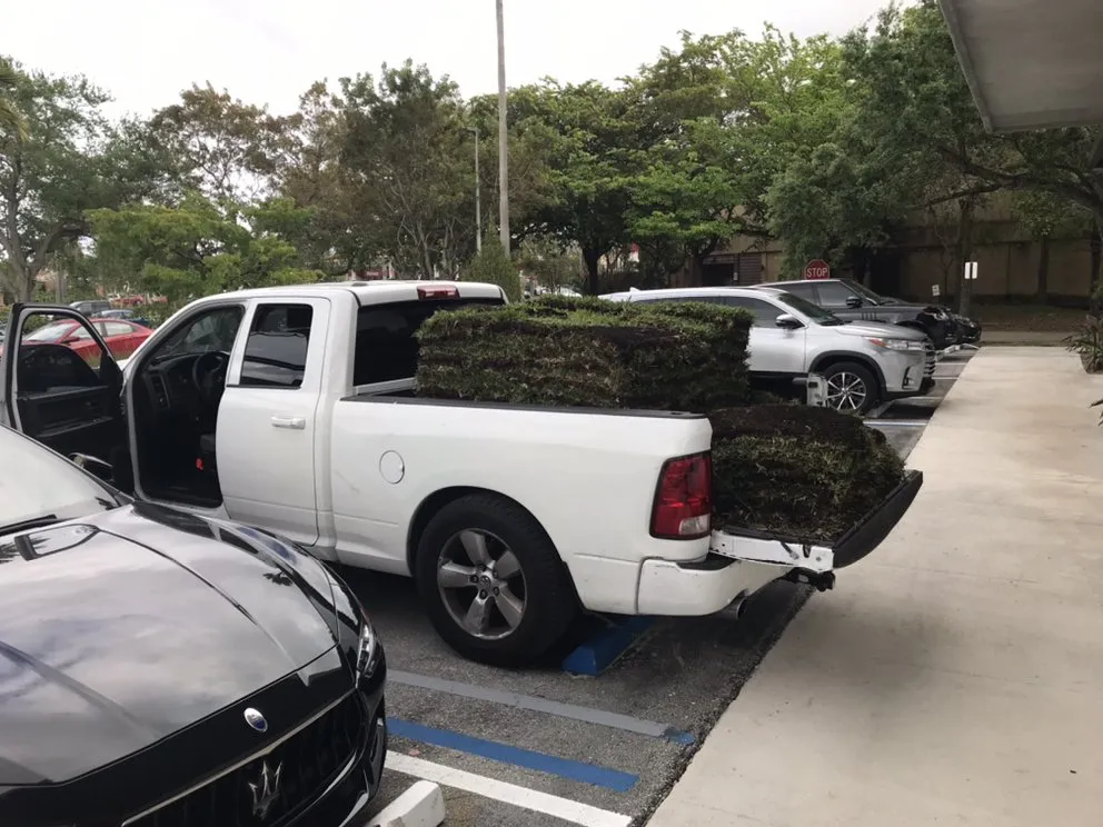 Custom lawn mowing service in North Miami Beach, FL by Big Bee Landscaping & Tree Services