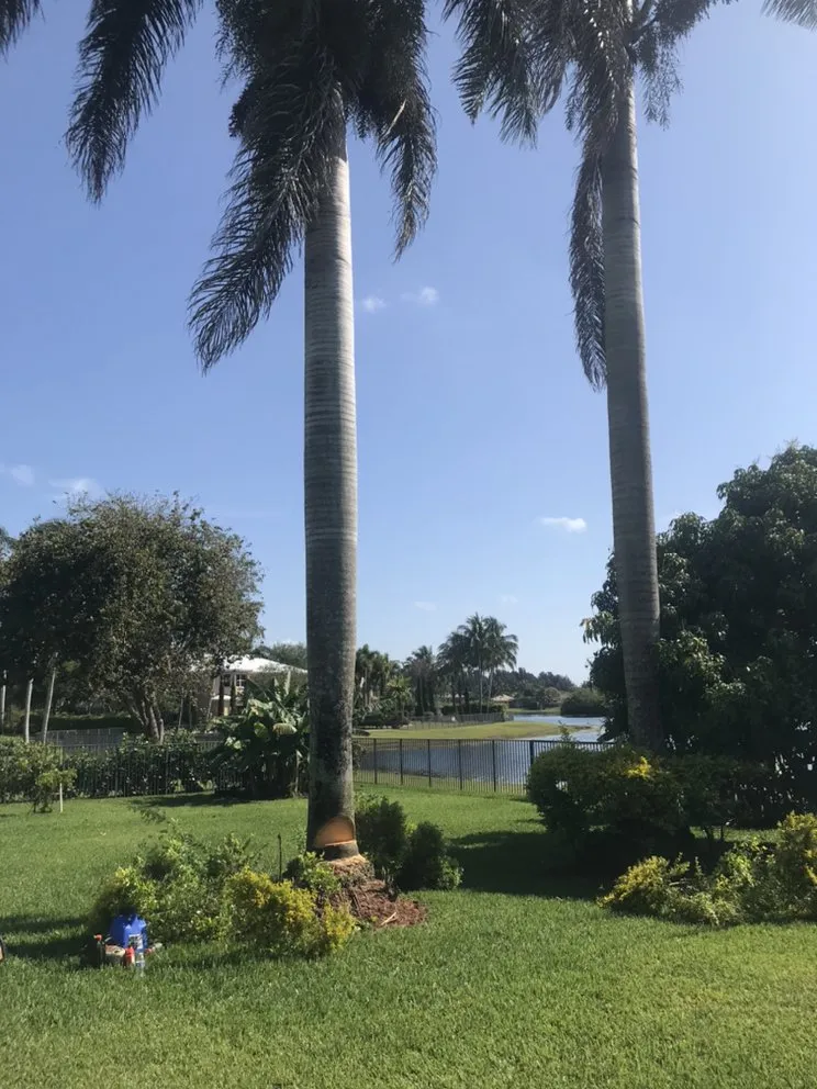 Reliable lawn care service for beautiful yards in North Miami Beach, FL by Big Bee Landscaping & Tree Services