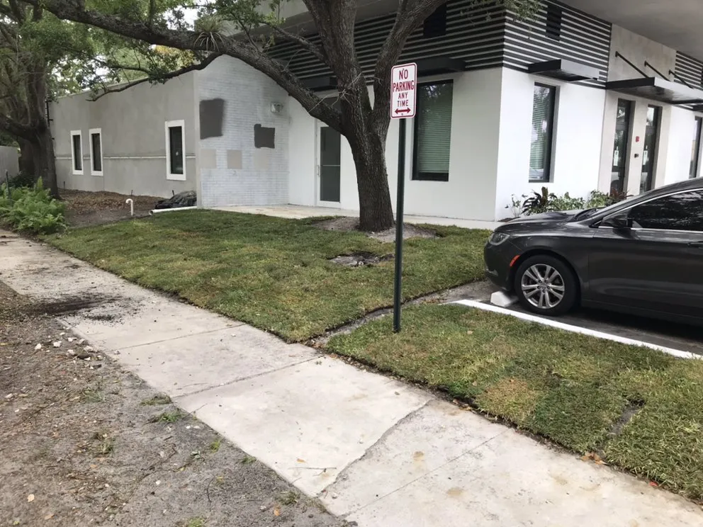 Affordable residential landscaping in North Miami Beach, FL - Big Bee Landscaping & Tree Services