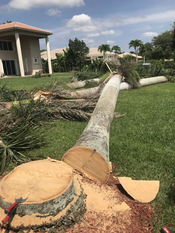 Local outdoor landscaping in North Miami Beach, FL by Big Bee Landscaping & Tree Services