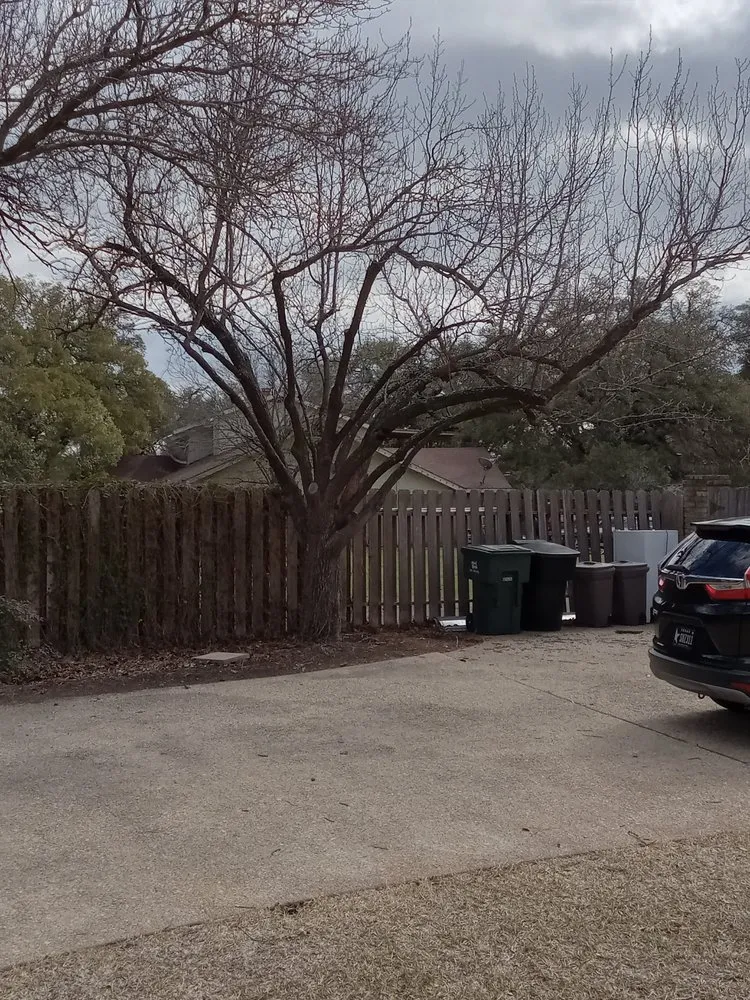 Trusted landscaping services in Temple, TX - Big Bell's Trees and Landscaping