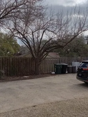 Big Bell's Trees and Landscaping Logo