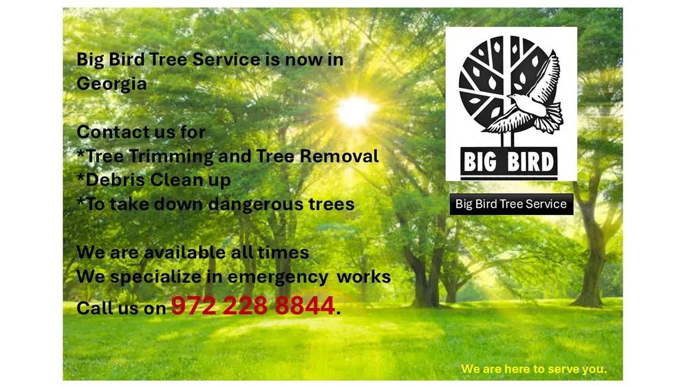 Top-rated lawn mowing service with custom design in Dallas, TX by Big Bird Tree Service