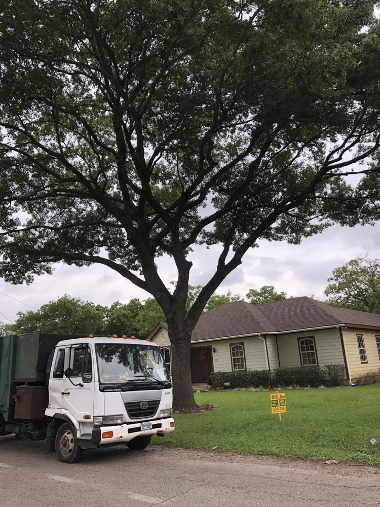 Trusted landscape design in Dallas, TX by Big Bird Tree Service