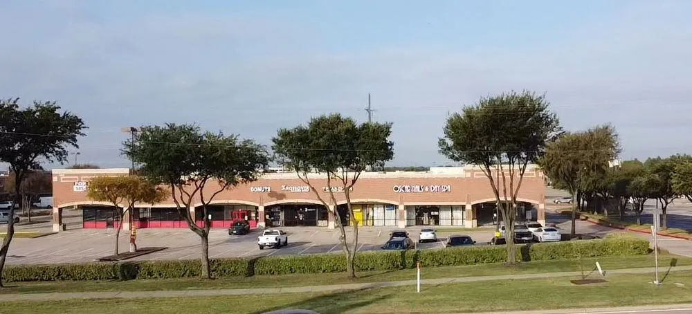 Top-rated landscape installation experts serving Dallas, TX - Big Bird Tree Service