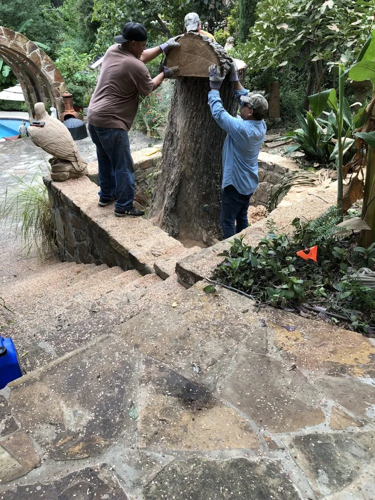 Reliable landscaping services in Dallas, TX - Big Bird Tree Service