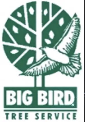 Local yard maintenance experts serving Dallas, TX - Big Bird Tree Service