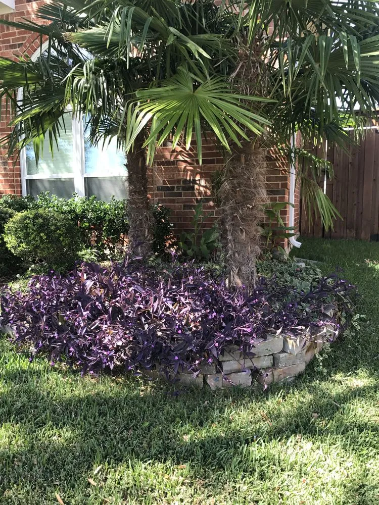 Expert outdoor landscaping in Dallas, TX by Big Bird Tree Service