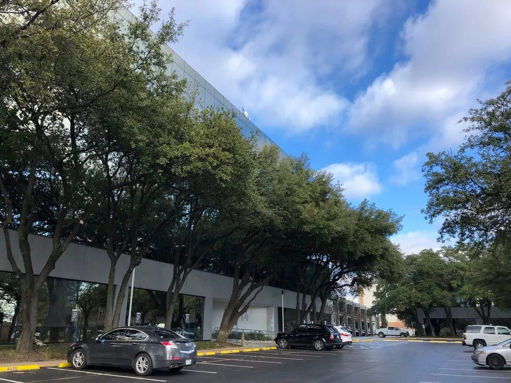 Expert landscape installation near you across Dallas, TX - Big Bird Tree Service