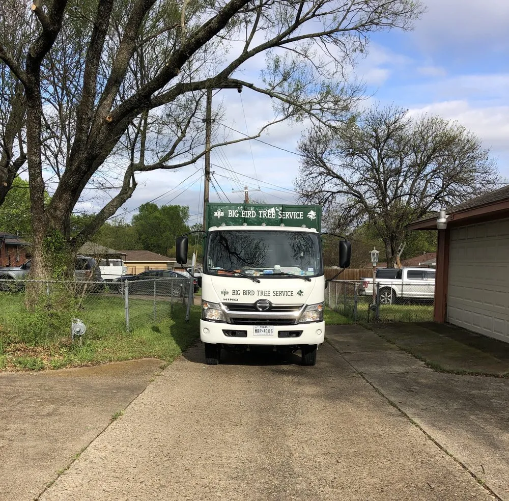 Affordable outdoor landscaping for residential properties across Dallas, TX - Big Bird Tree Service