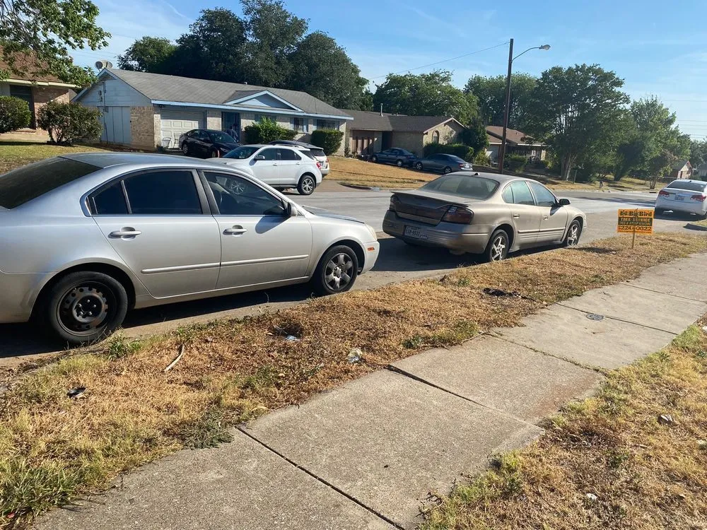 Affordable landscape installation in Dallas, TX by Big Bird Tree Service