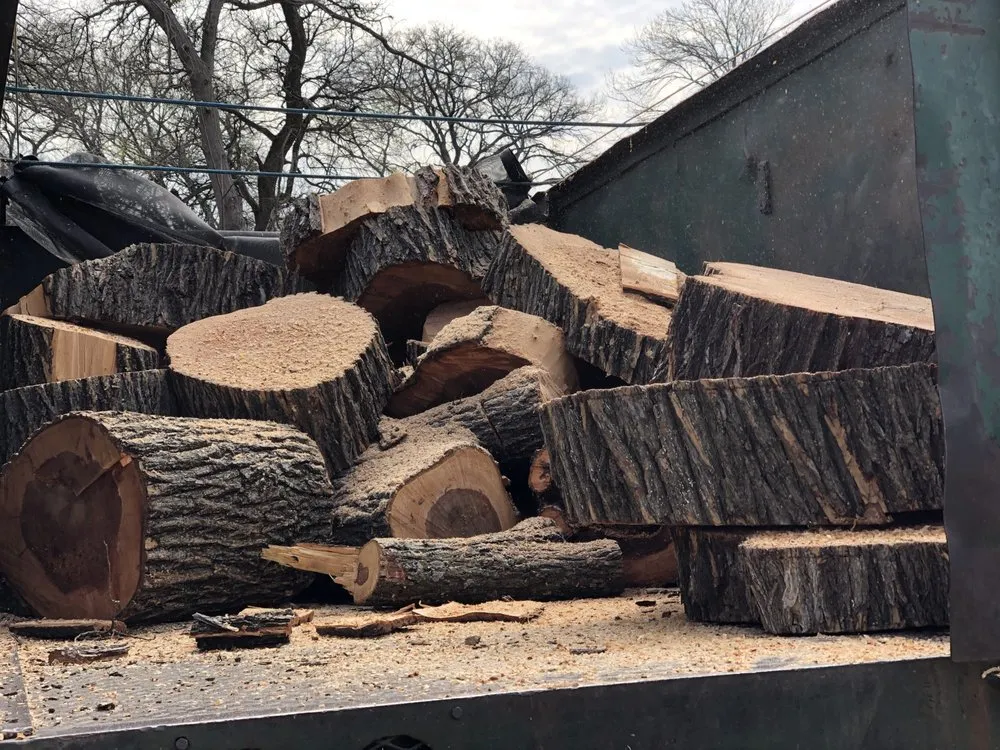 Affordable residential landscaping near you across Dallas, TX - Big Bird Tree Service