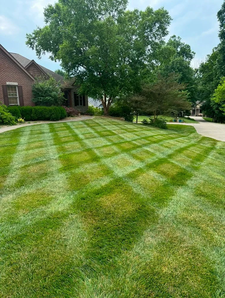Professional yard cleanup service in Union, KY - Big Blue Lawncare and Landscaping