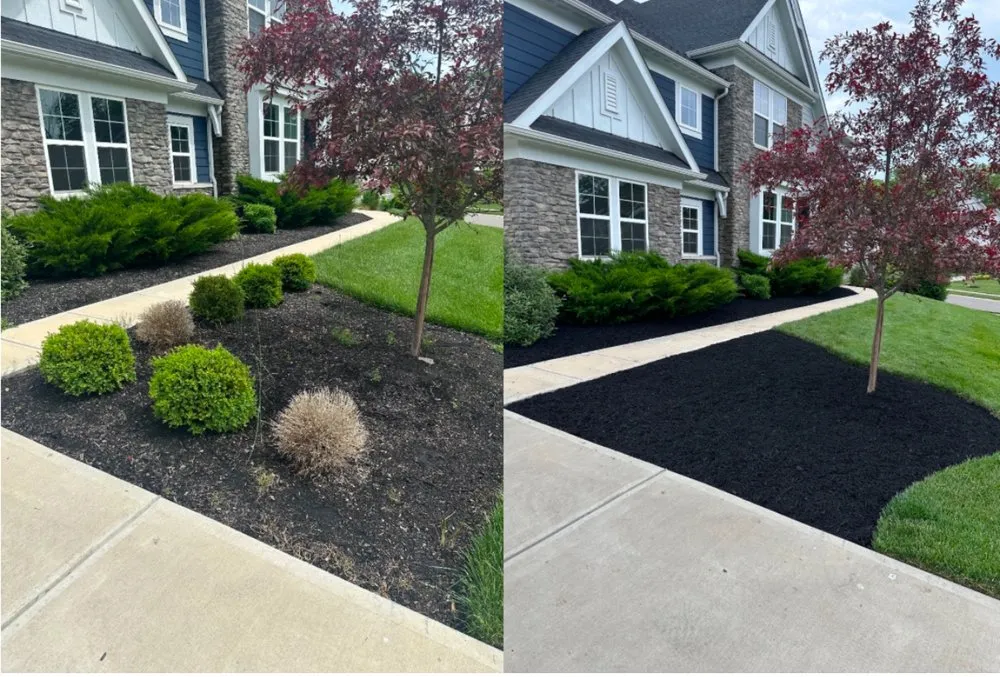 Trusted yard maintenance in Union, KY by Big Blue Lawncare and Landscaping