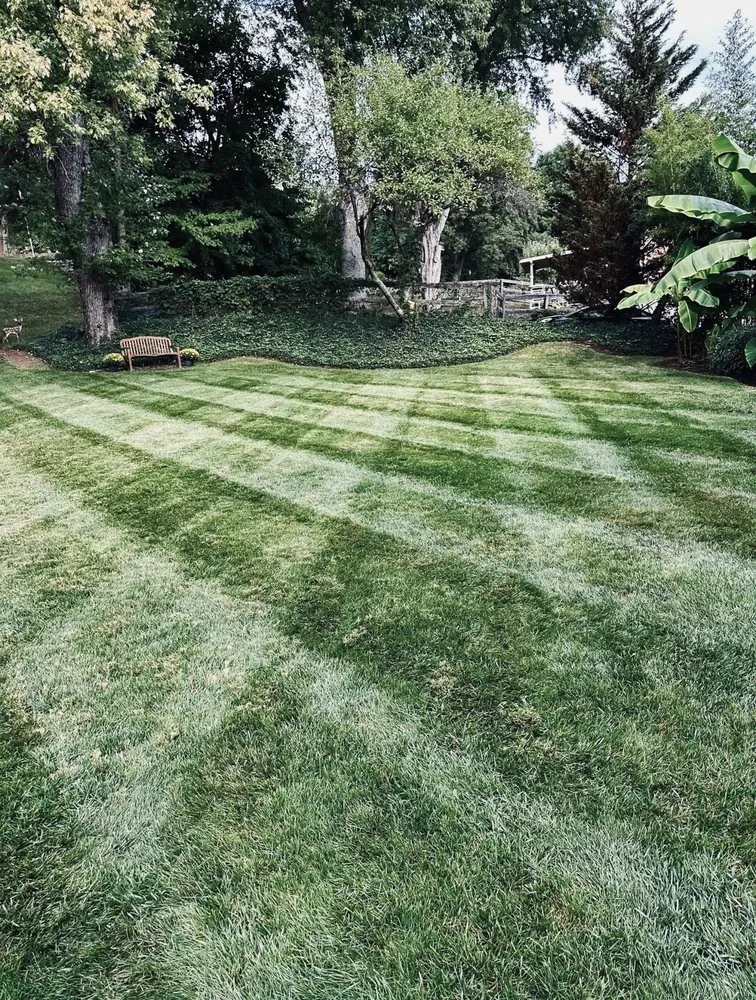 Local lawn care service for residential properties in Union, KY by Big Blue Lawncare and Landscaping