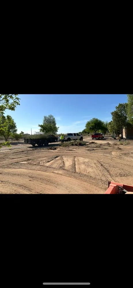 Affordable lawn care service in Marana, AZ by Big Bobs Dirt Work