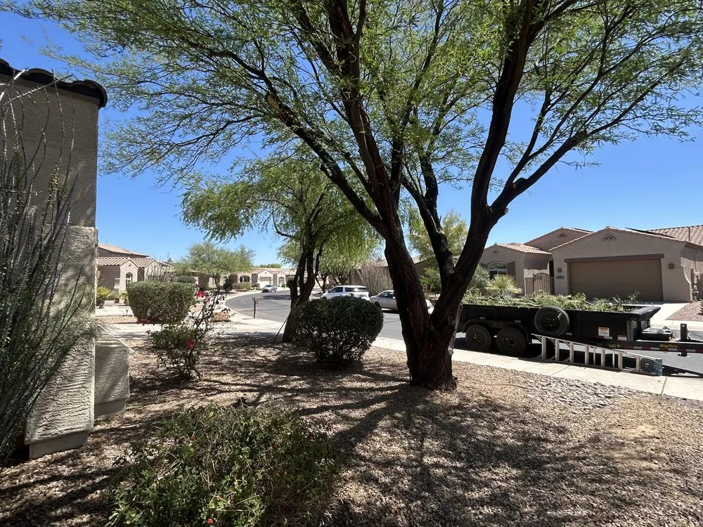 Affordable lawn care service in Marana, AZ - Big Bobs Dirt Work