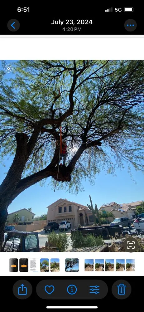 Reliable lawn mowing service for residential properties in Marana, AZ by Big Bobs Dirt Work