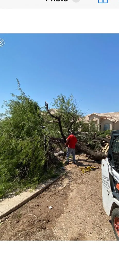 Custom lawn mowing service for outdoor upgrades across Marana, AZ - Big Bobs Dirt Work